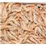 Gambero Bianco o Rosa Italia  (1 Kg)