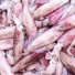 Calamaretti Italia  ( 1 kg ) ( spillo 3-5cm)