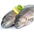 Trota Salmonata (1 Kg)