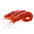 Gambero rosso grande Italia  (1Kg)