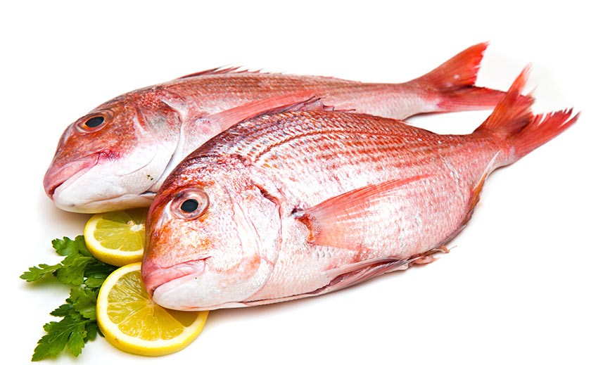 Scegliere il Pesce fresco